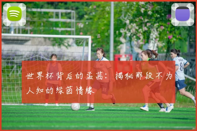 世界杯背后的孟茜:揭秘那段不为人知的绿茵情缘