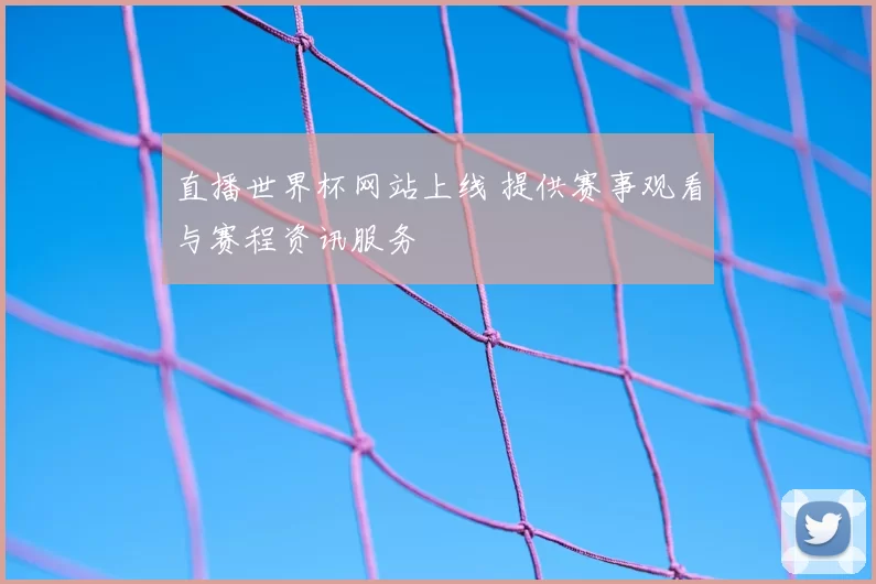 直播世界杯网站上线 提供赛事观看与赛程资讯服务