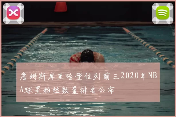 詹姆斯库里哈登位列前三2020年NBA球星粉丝数量排名公布