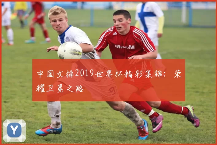 中国女排2019世界杯精彩集锦：荣耀卫冕之路