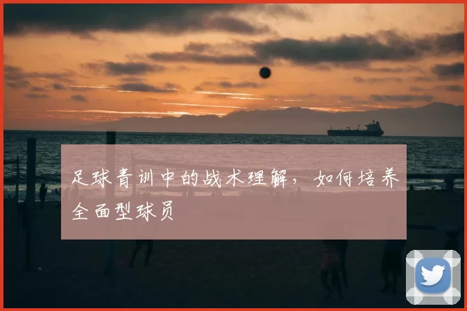 足球青训中的战术理解,如何培养全面型球员