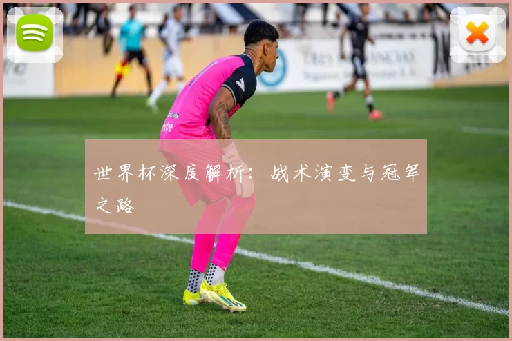 世界杯深度解析:战术演变与冠军之路
