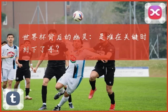 世界杯背后的幽灵：是谁在关键时刻下了手？