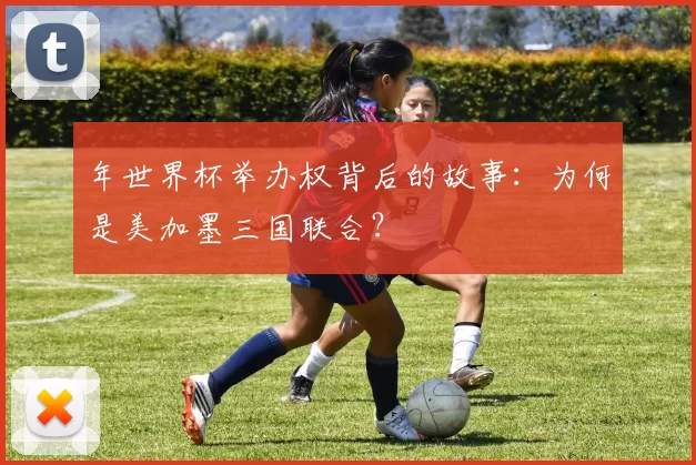 年世界杯举办权背后的故事:为何是美加墨三国联合?