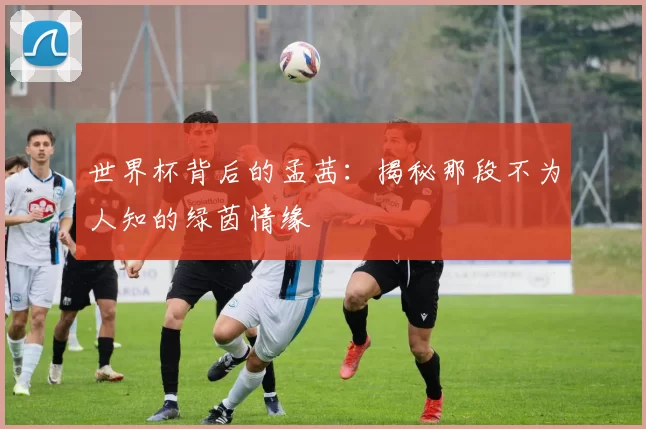 世界杯背后的孟茜:揭秘那段不为人知的绿茵情缘