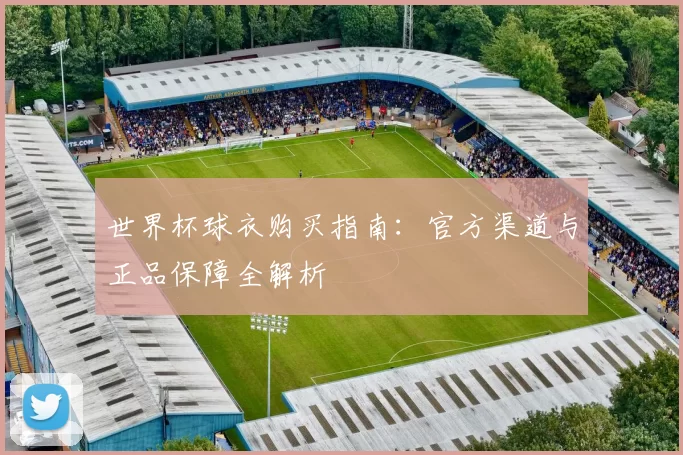 世界杯球衣购买指南:官方渠道与正品保障全解析