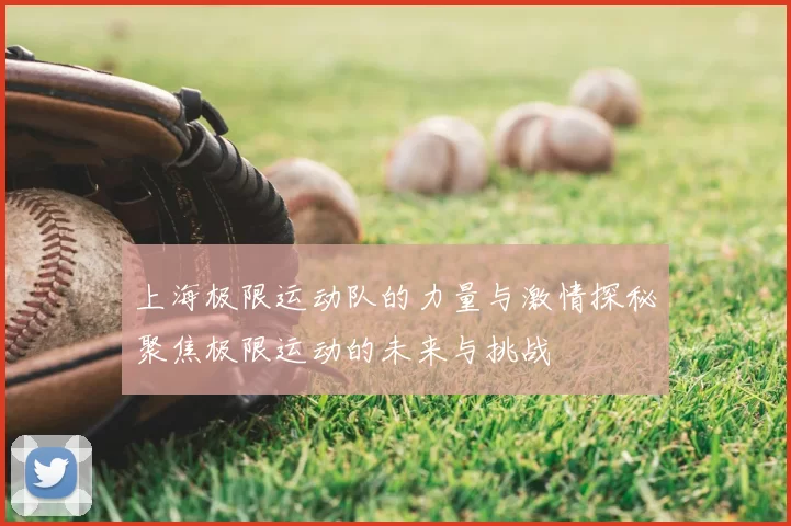 上海极限运动队的力量与激情探秘聚焦极限运动的未来与挑战