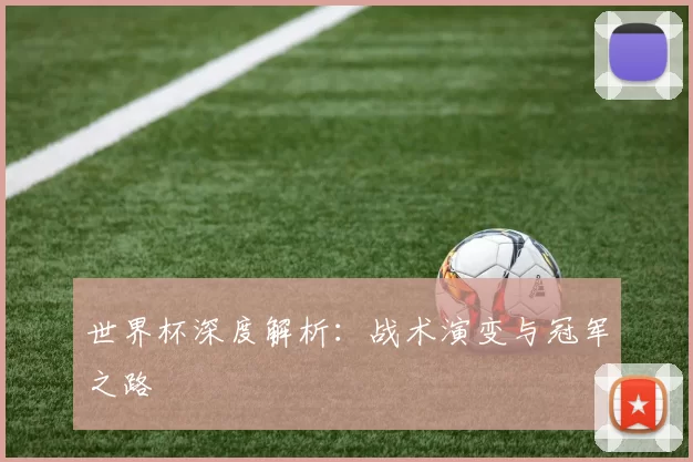 世界杯深度解析:战术演变与冠军之路