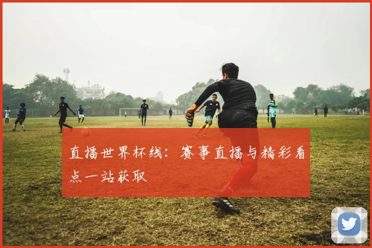 直播世界杯线:赛事直播与精彩看点一站获取